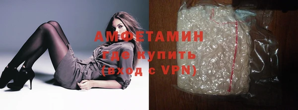 шишки Медногорск