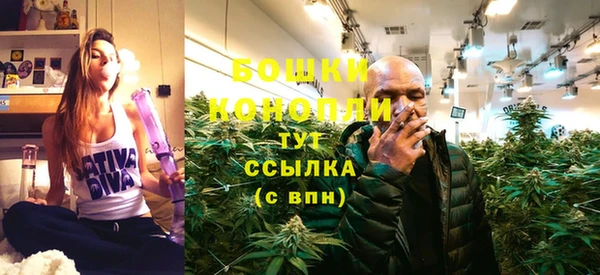 не бодяженный Магас