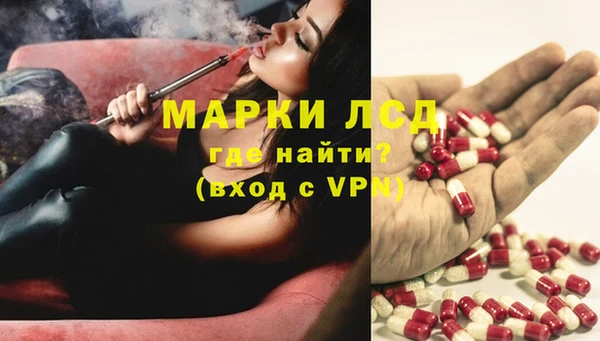 Альфа ПВП Магадан