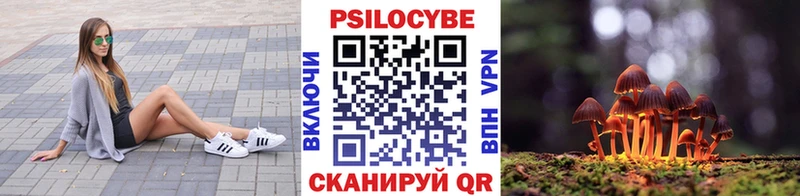 блэк спрут зеркало  Тогучин  Псилоцибиновые грибы прущие грибы 